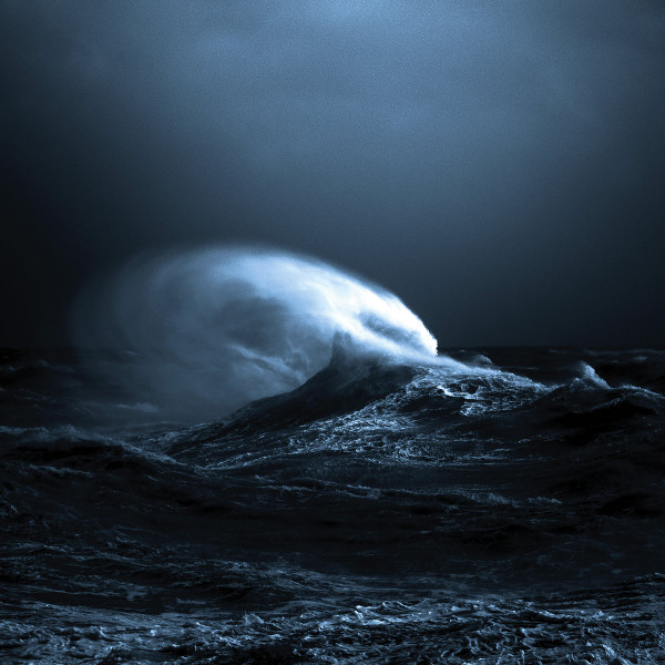 MARK MOLNAR — EXO