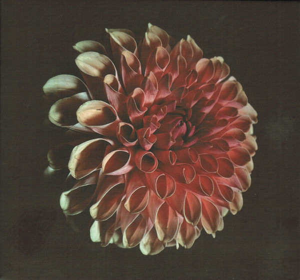 JESSICA MOSS — UNFOLDING