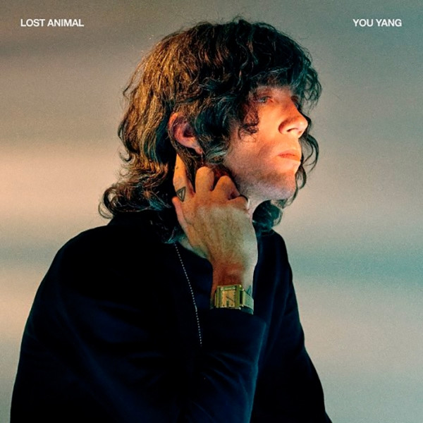 LOST ANIMAL — YOU YANG