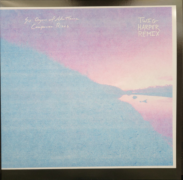 SIX ORGANS OF ADMITTANCE — COMPANION RISES