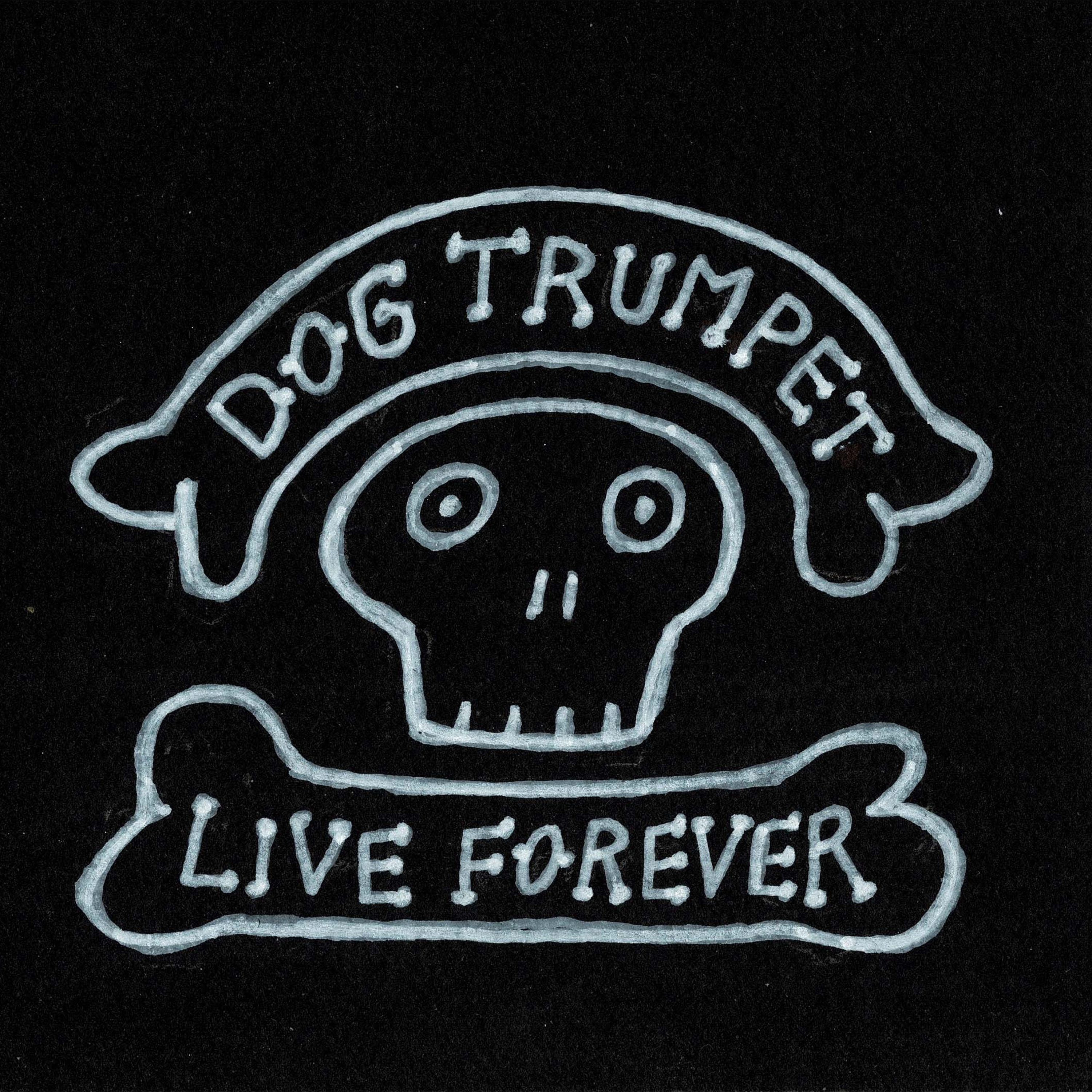 DOG TRUMPET — LIVE FOREVER