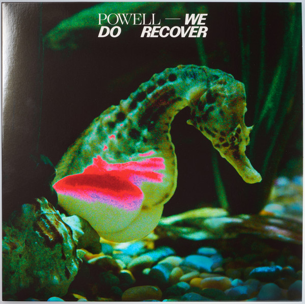 Powell — We Do Recover
