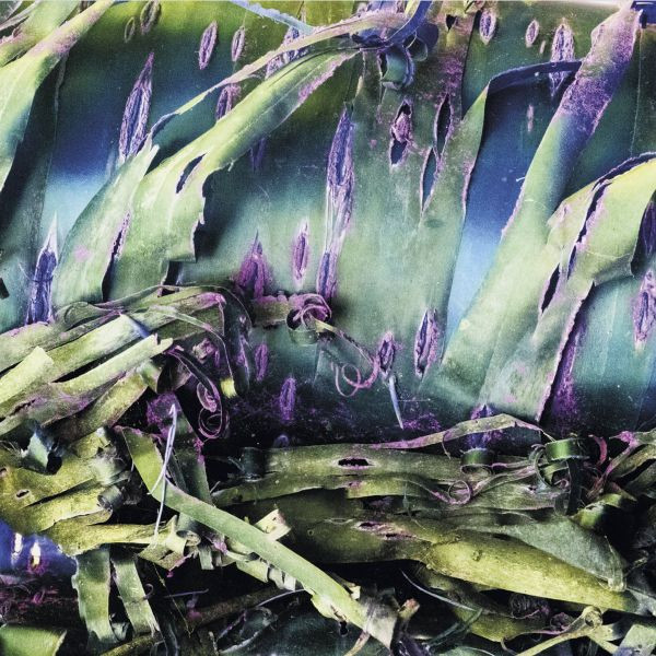 POLYPORES — MULTIZONAL MINDSCRAMBLE