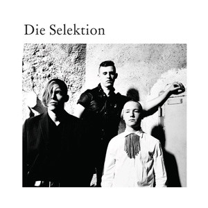 DIE SELEKTION — DIE SELEKTION