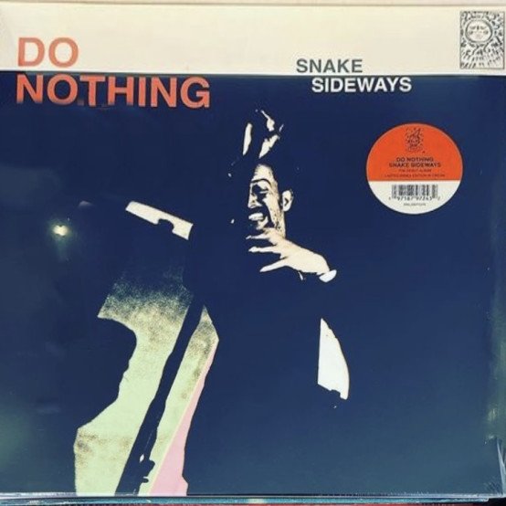 DO NOTHING — SNAKE SIDEWAYS