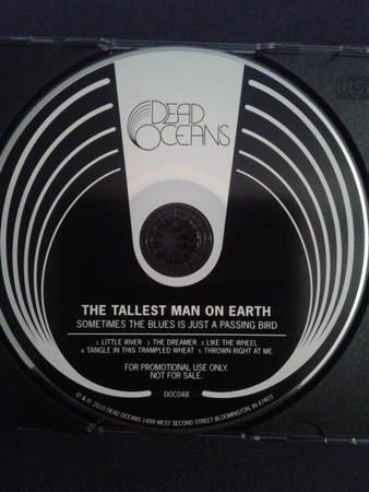 THE TALLEST MAN ON EARTH — SOMETIMES THE BLUES IS JUST A PASSING BIRD