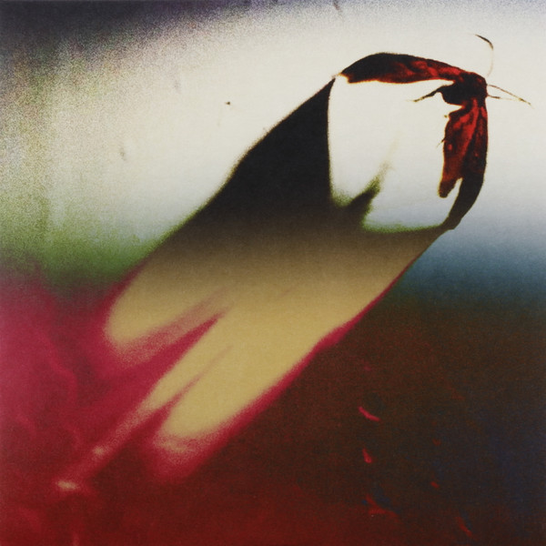 SCOWL — ARE WE ALL ANGELS