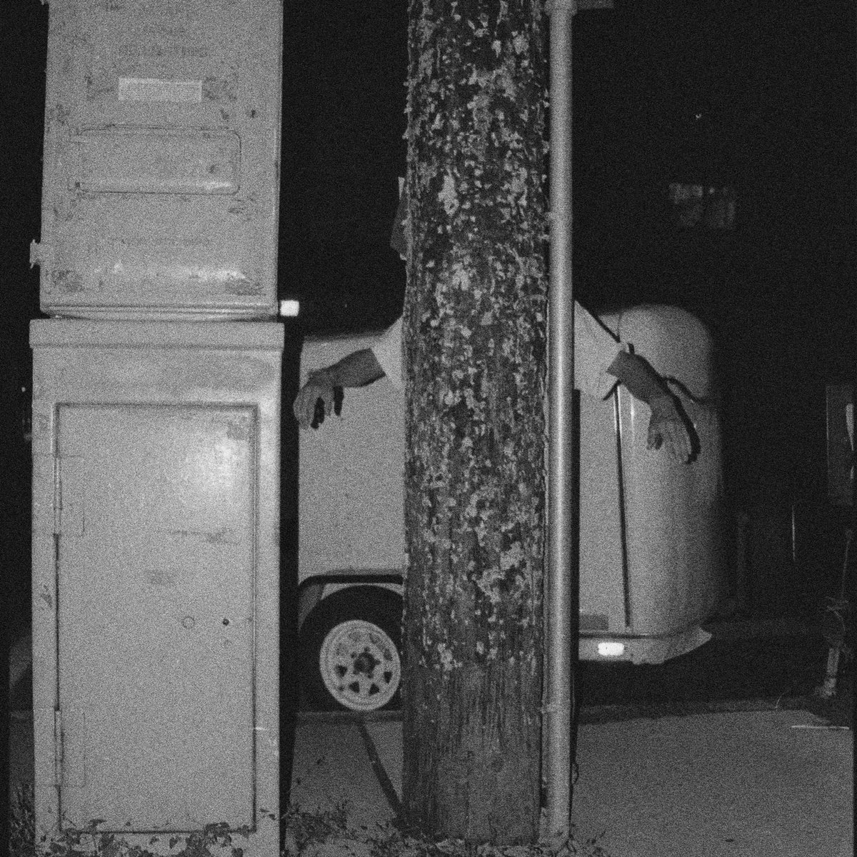 PAPER TIGER — ALL OVER THE PLACE