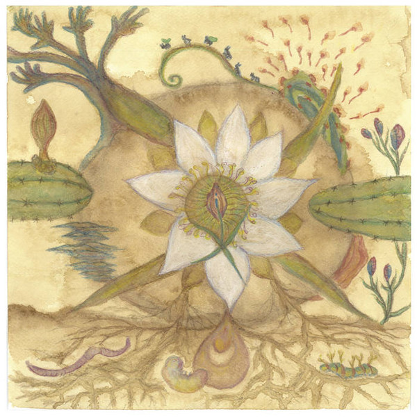 Markandeya — Vision Versions