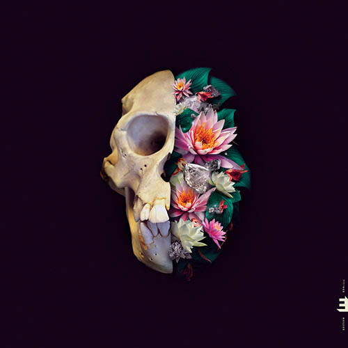 VERNERI POHJOLA — MONKEY MIND