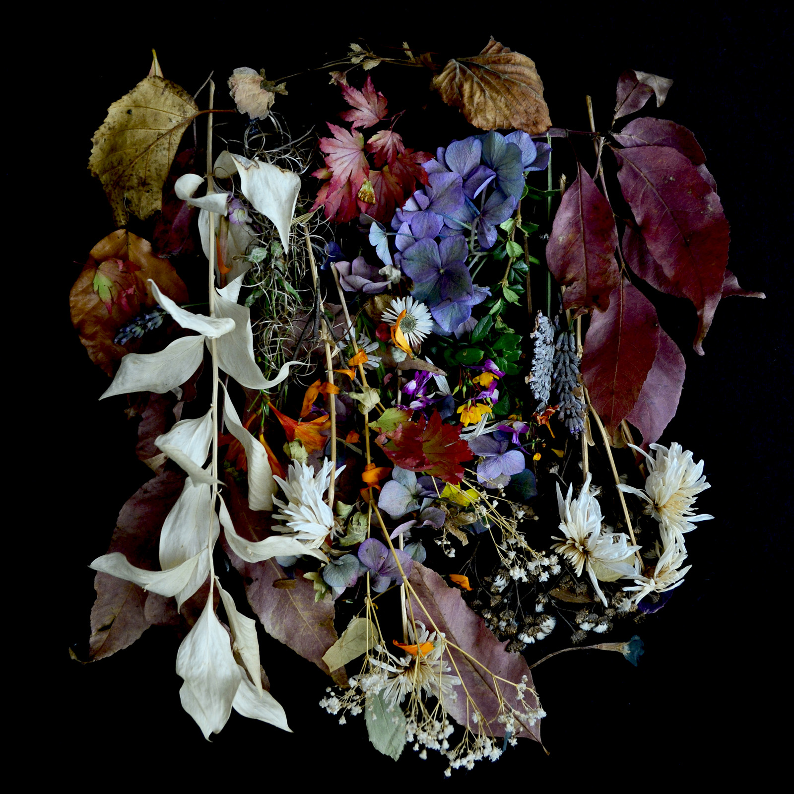 PAWS — YOUR CHURCH ON MY BONFIRE