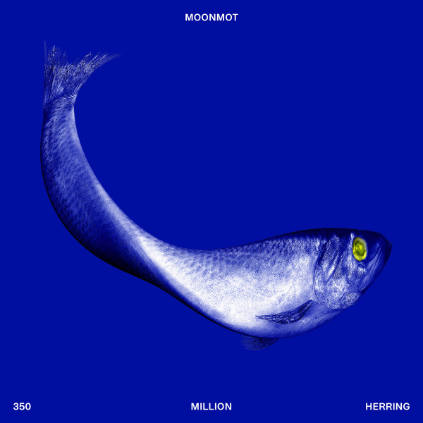 MOONMOT — 350 MILLION HERRING
