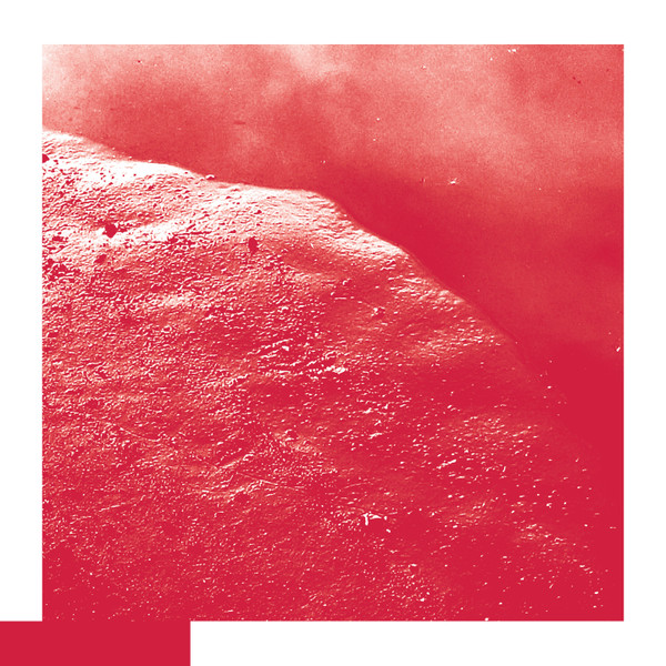 DAVID ALLRED — The Cell