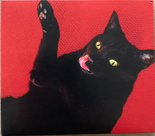 RYAN ADAMS — Big Colors