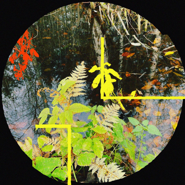 VARIOUS ARTISTS — GHOST RIDERS