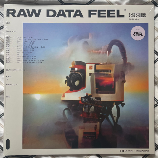 EVERYTHING EVERYTHING — RAW DATA FEEL