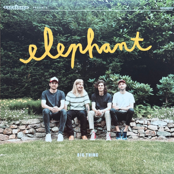 ELEPHANT — BIG THING