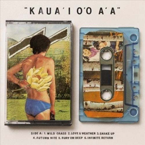 GENTLE FRIENDLY — KauaI OO AA