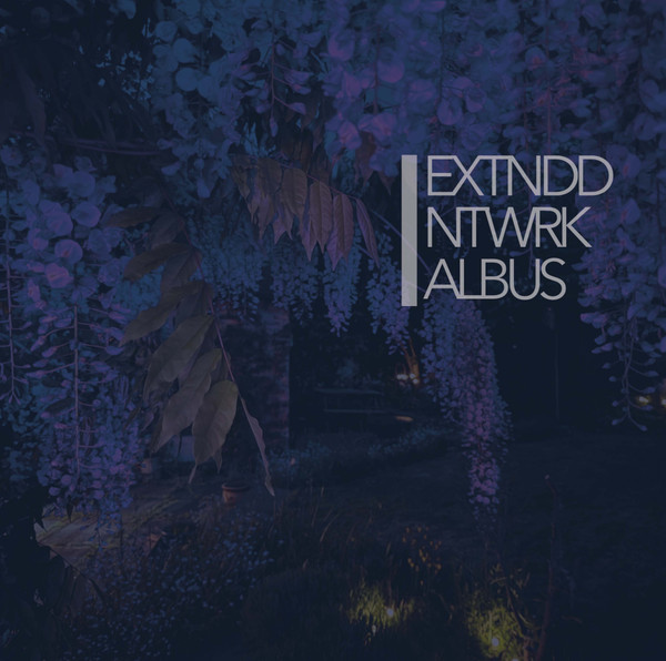 EXTNDDNTWRK — ALBUS