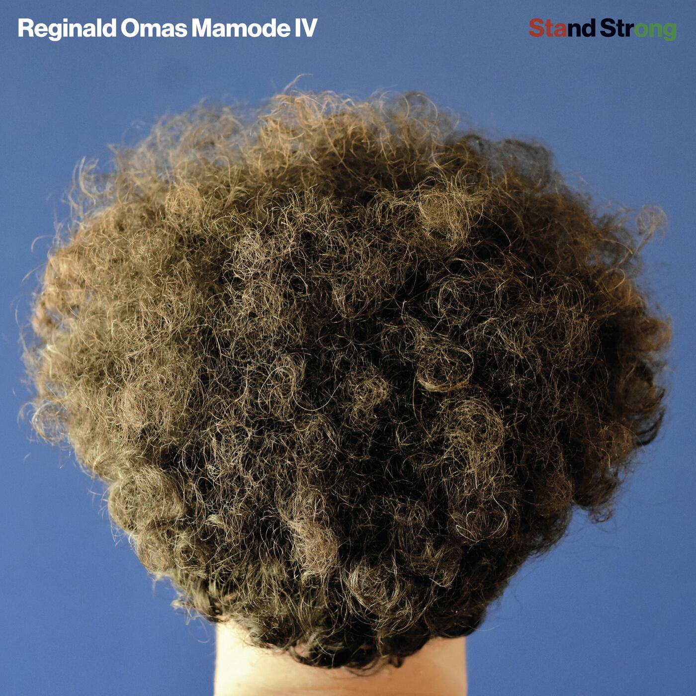 REGINALD OMAS MAMODE IV — Stand Strong