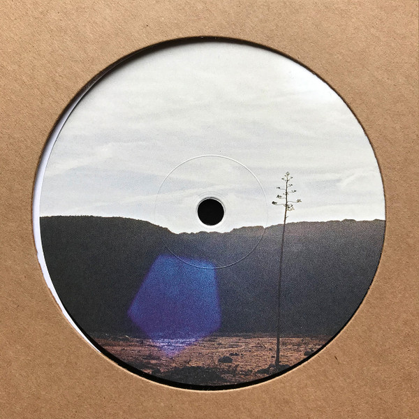 JAKOB SEIDENSTICKER — After Were All Gone EP