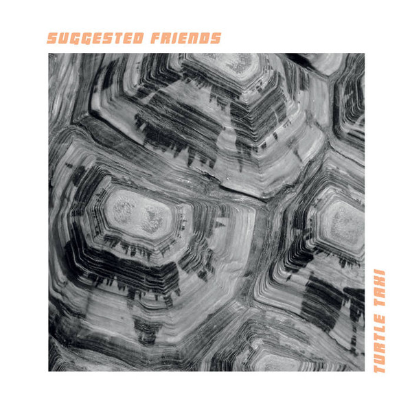 SUGGESTED FRIENDS — TURTLE TAXI