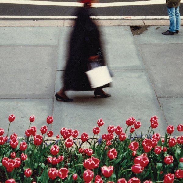 AIR WAVES — THE DANCE