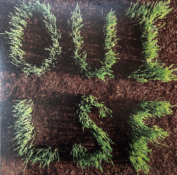 LES SAVY FAV — OUI LSF