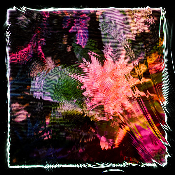 CAMILA FUCHS — KIDS TALK SUN