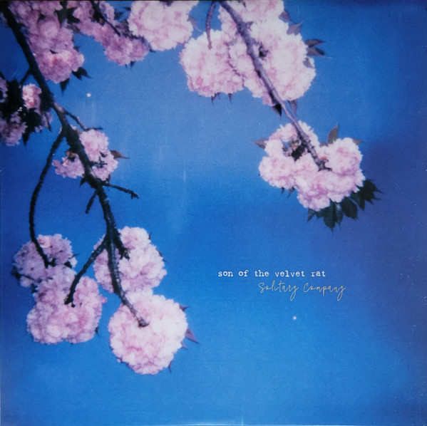 SON OF THE VELVET RAT — SOLITARY COMPANY