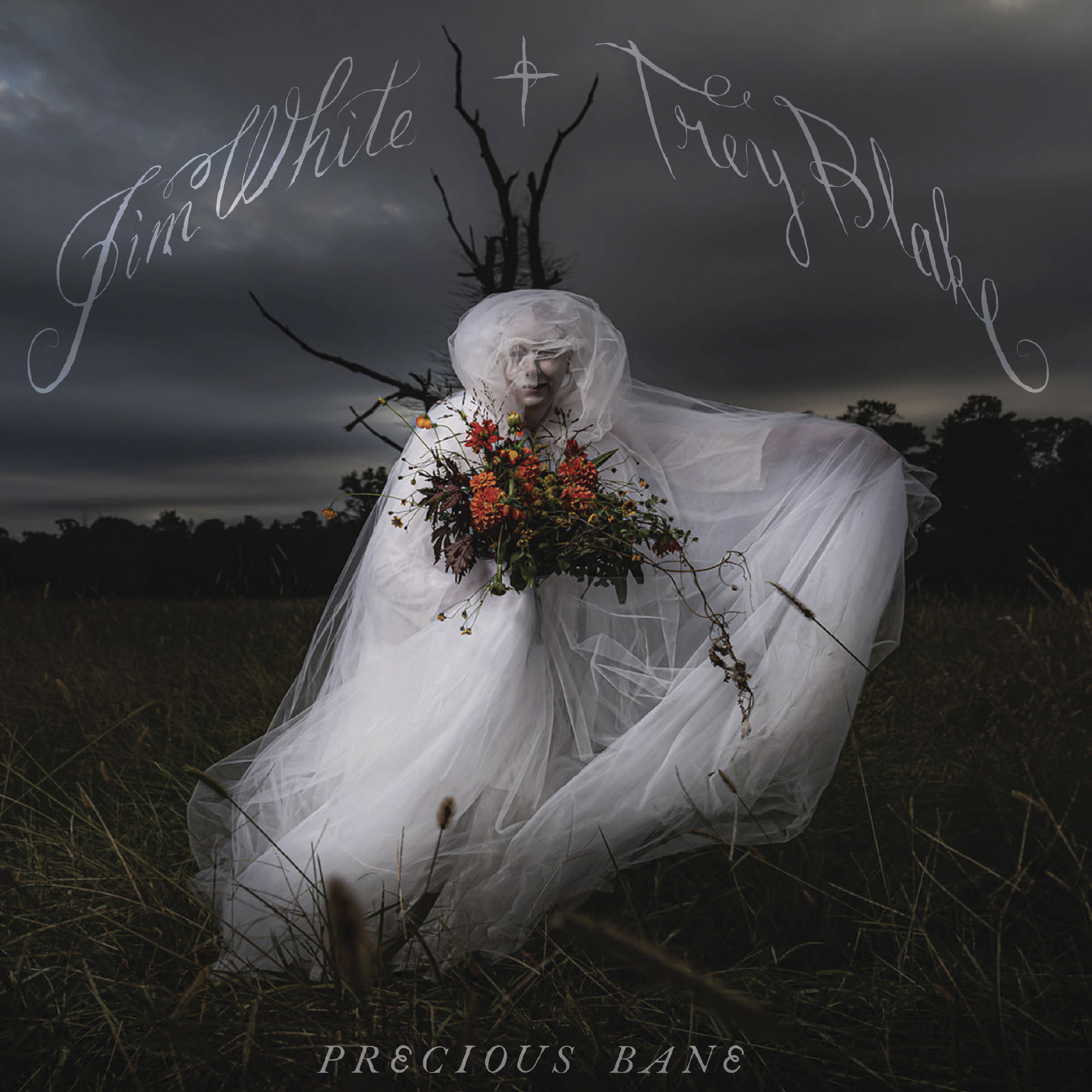 JIM WHITE — PRECIOUS BANE