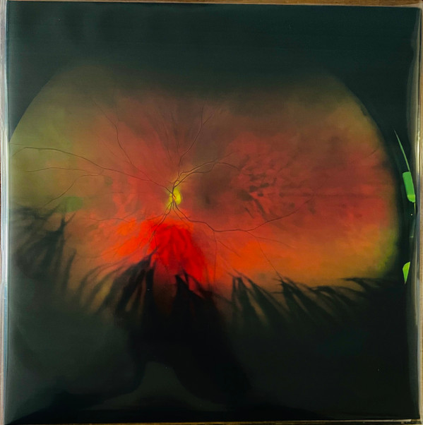 GREG PUCIATO — MIRRORCELL