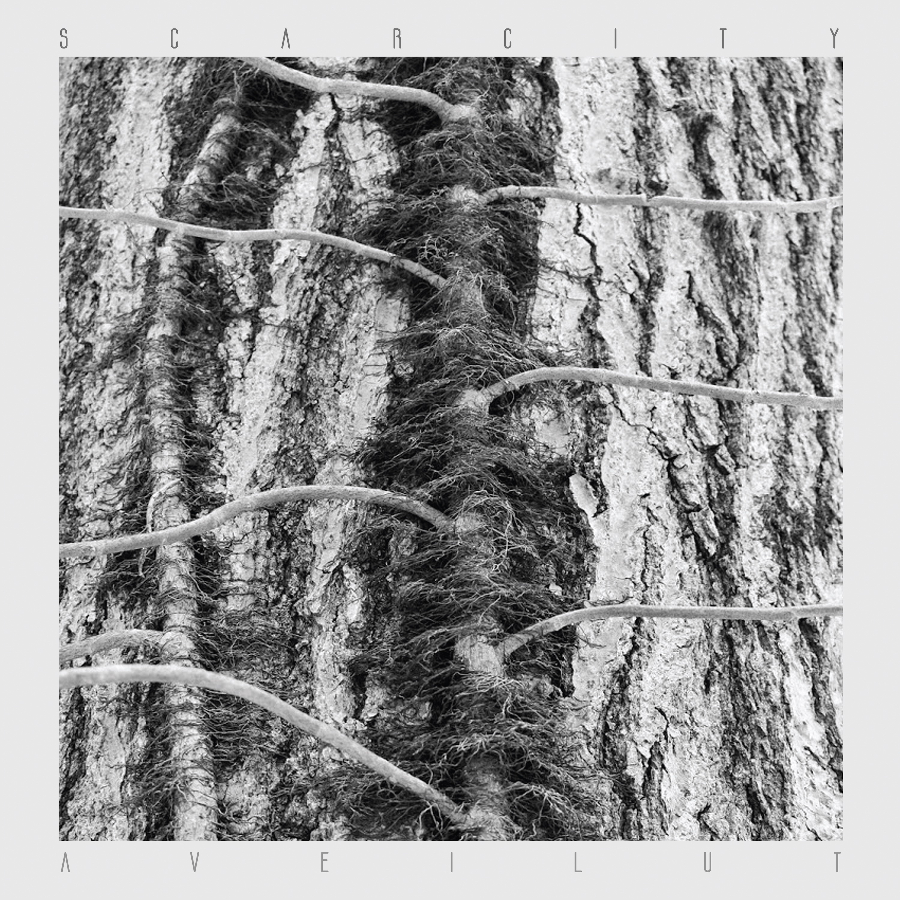 SCARCITY — AVEILUT