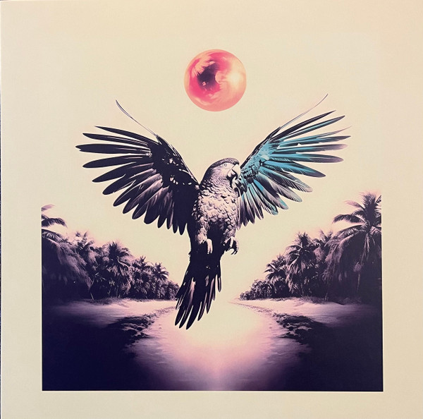 Sam N√≥brega — Ponta de Dois Lados