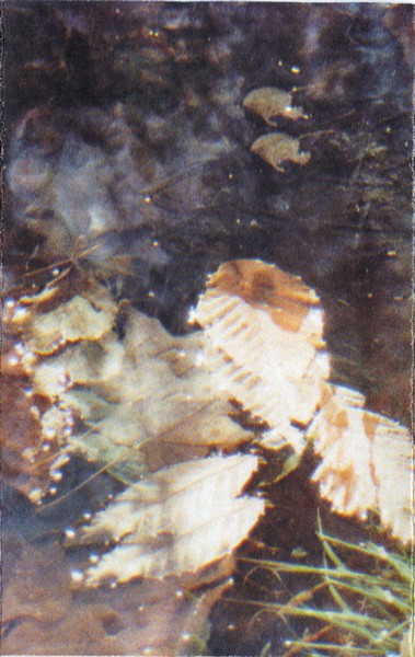 VARIOUS ARTISTS — Zoo Vol. 2