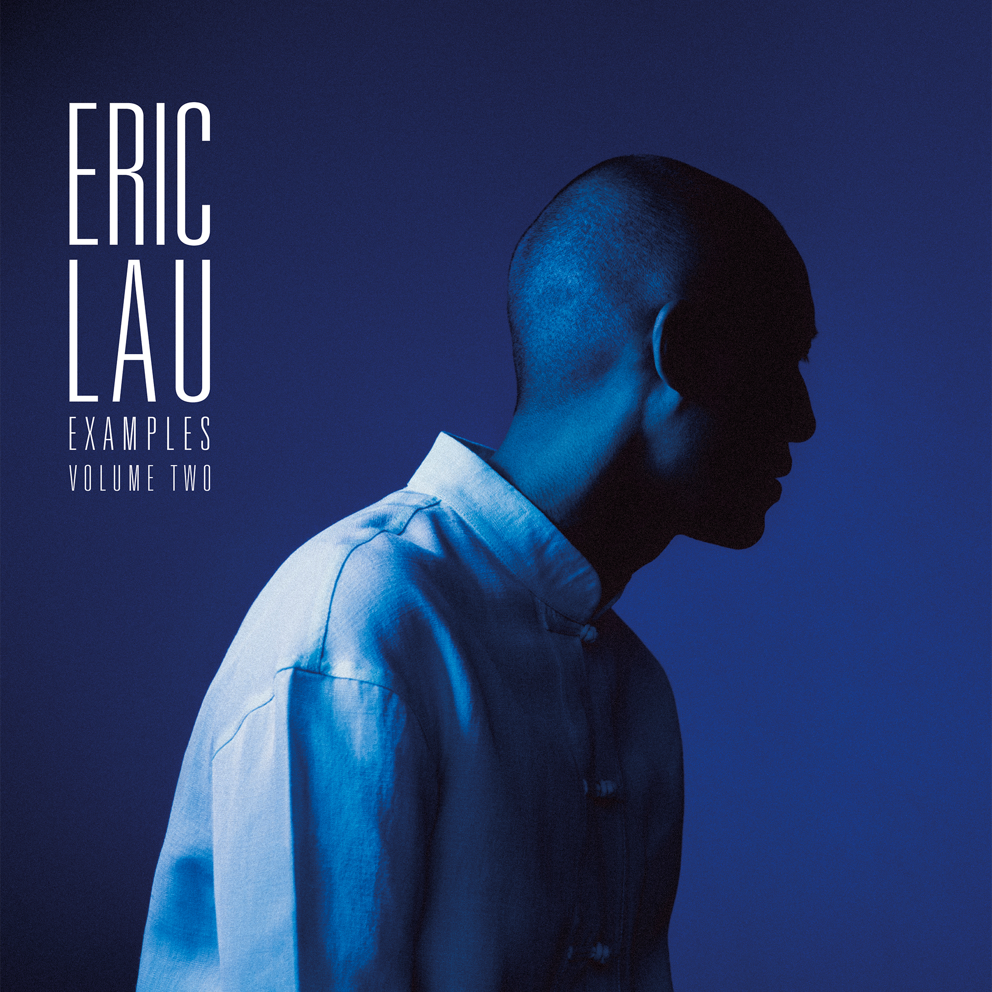 Eric Lau — Examples, Vol. 2
