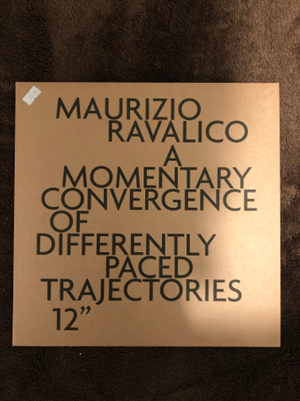 Fiium Shaarrk, Maurizio Ravalico, Collocutor & Enjoy — A Momentary Convergence of Differently Paced Trajectories