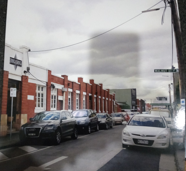 TISM — HOT DOGMA SING SING SESSIONS