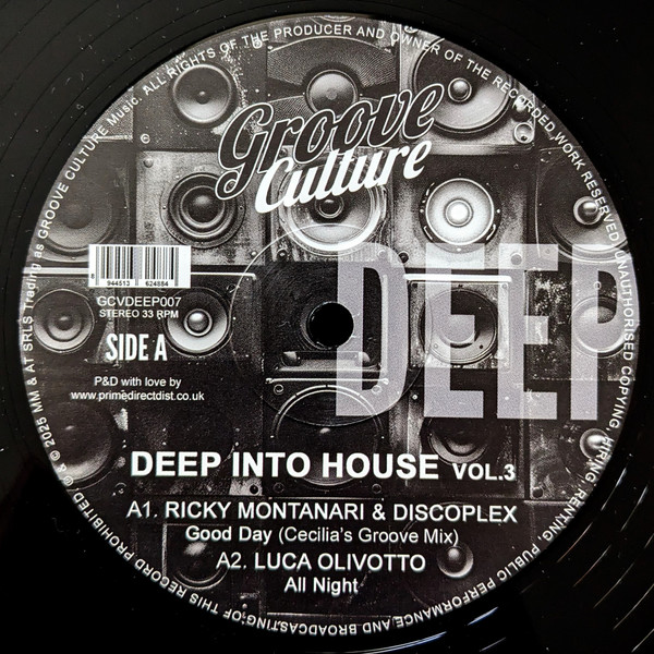 Ricky Montanari & Discoplex — Deep Into House Vol.3