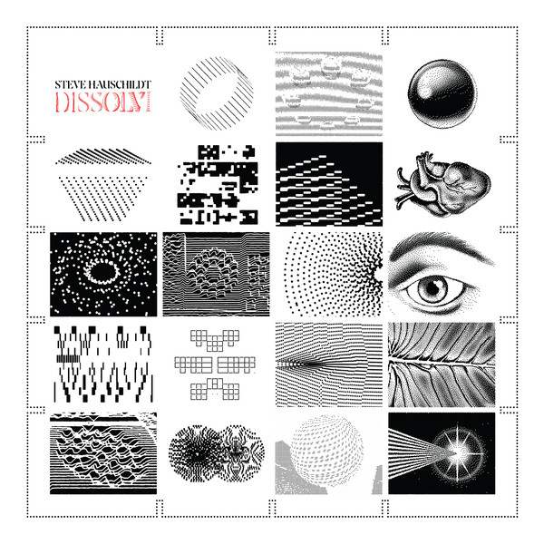 STEVE HAUSCHILDT — DISSOLVI
