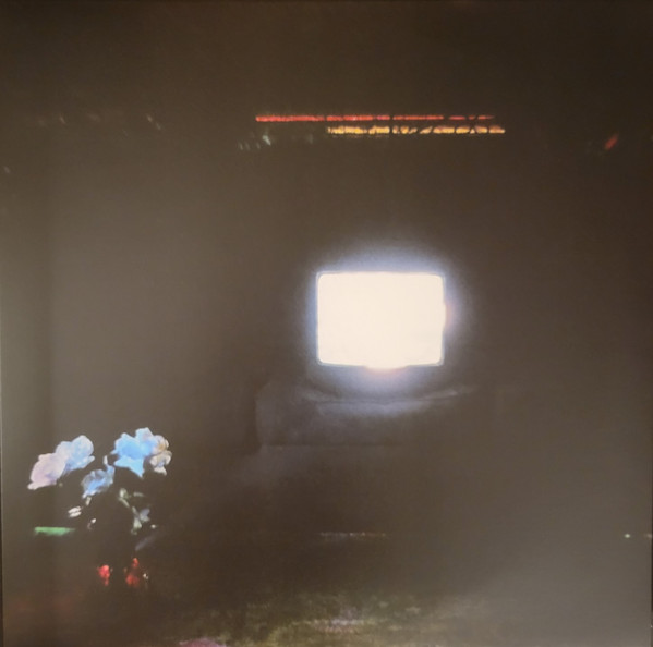 EMERALDS — DOES IT LOOK LIKE I'M HERE?