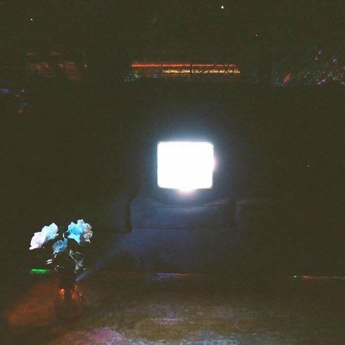EMERALDS — DOES IT LOOK LIKE I'M HERE?