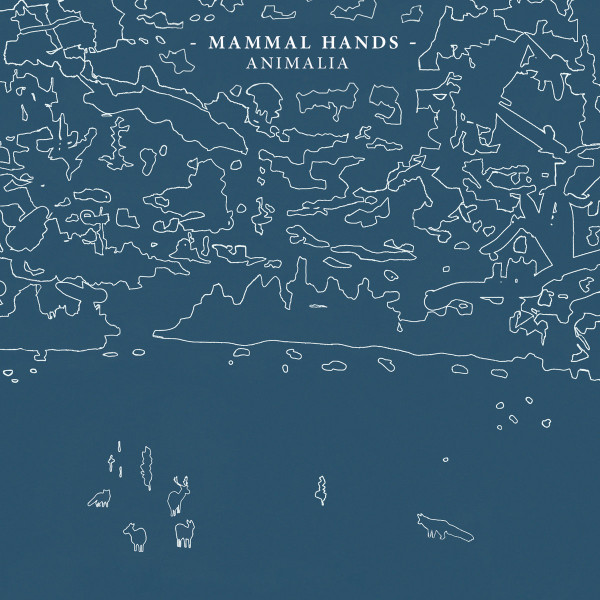 MAMMAL HANDS — ANIMALIA