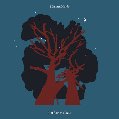 MAMMAL HANDS — GIFT FROM THE TREES