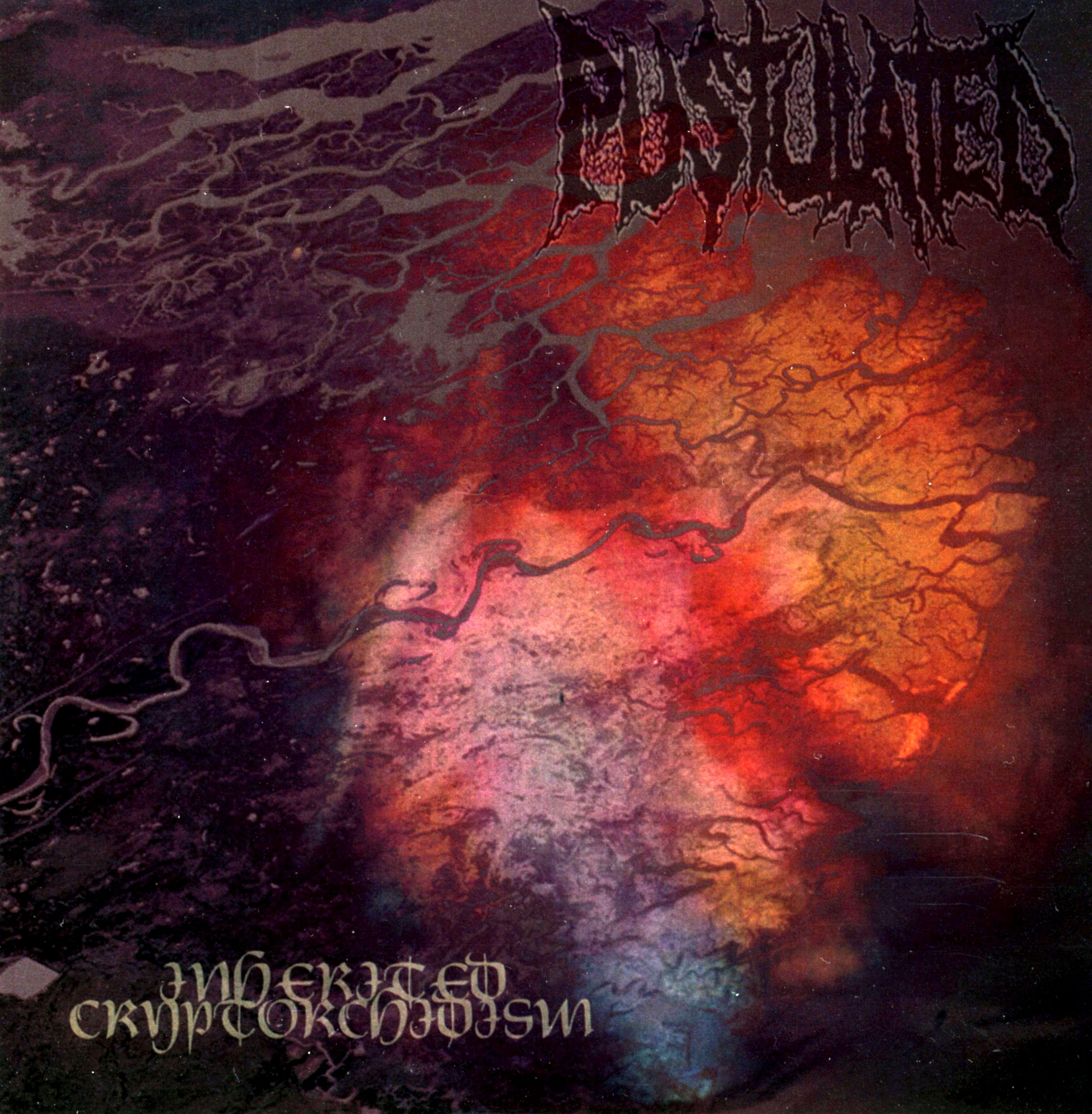 VARIOUS ARTISTS — PICARO VOL. 4