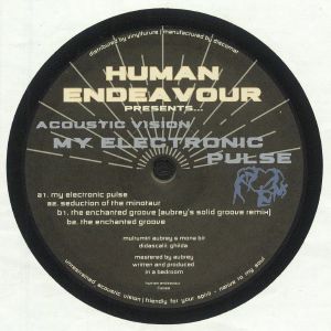 ACOUSTIC VISION — My Electronic Pulse