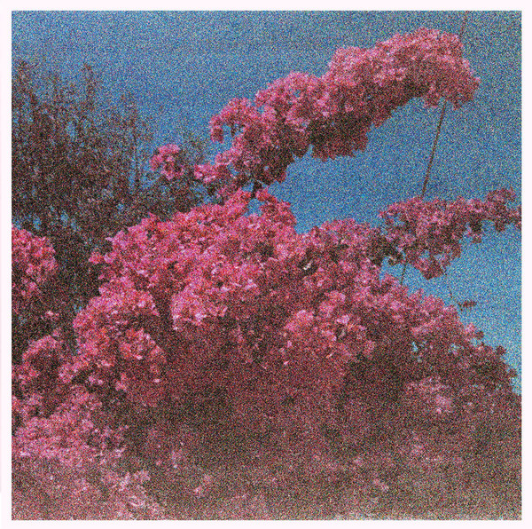 ELISABETH KLINCK — Picture A Frame