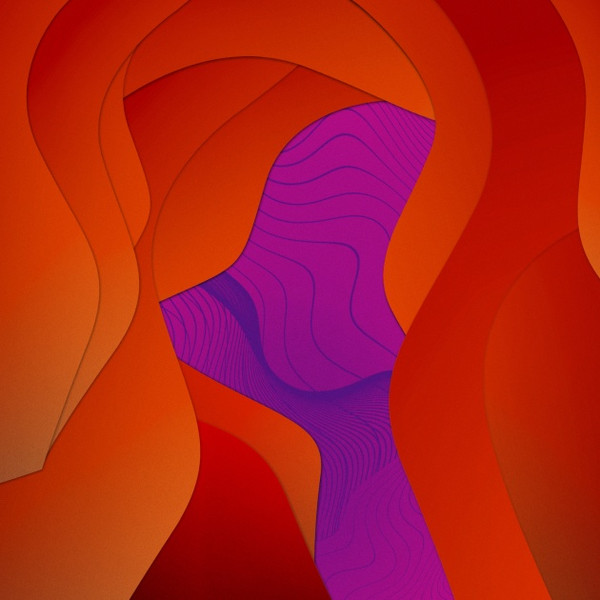 DENIZ CUYLAN — NO SUCH THING AS FREE WILL