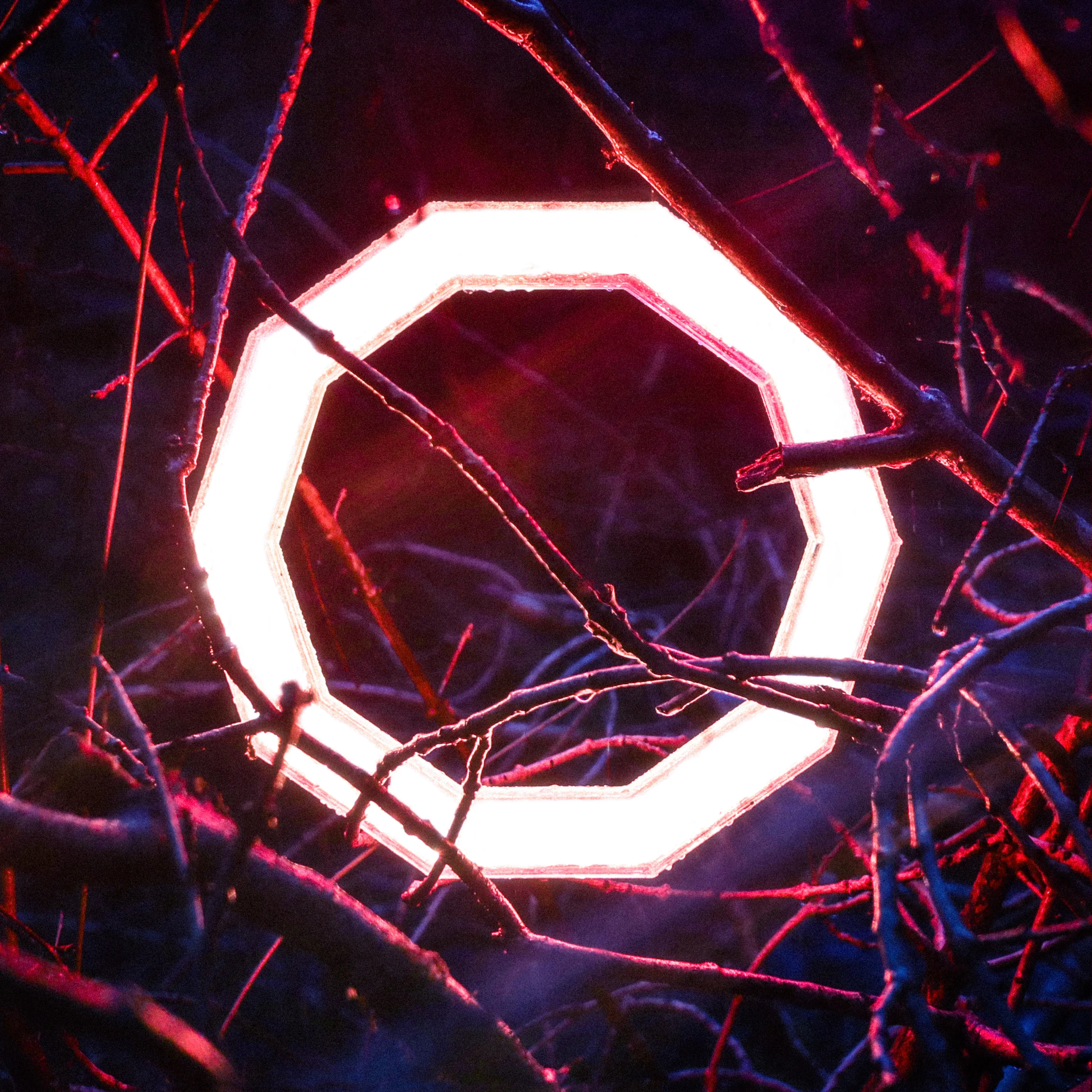 HYBRID MINDS — REFLECTIONS
