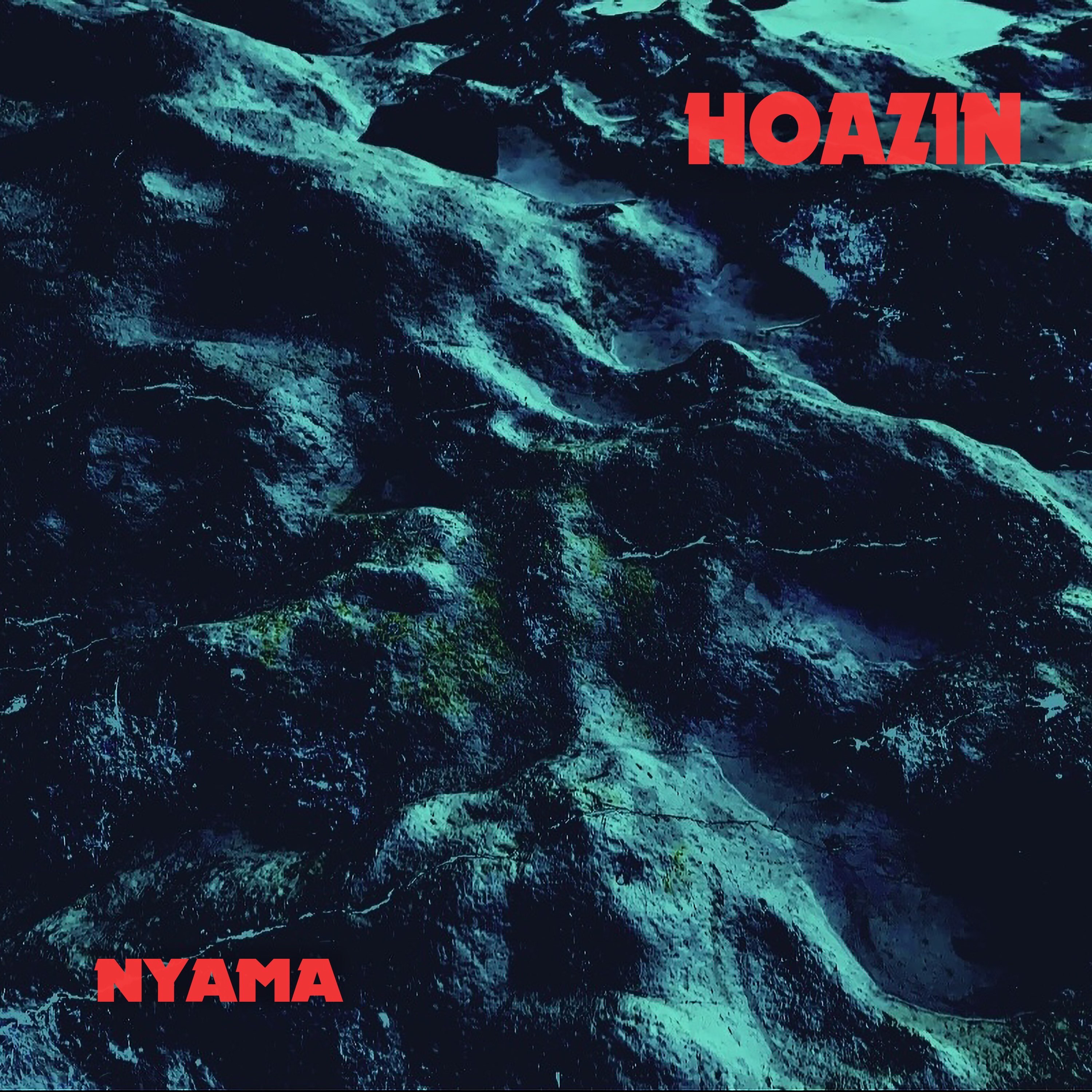 HOAZIN — NYAMA
